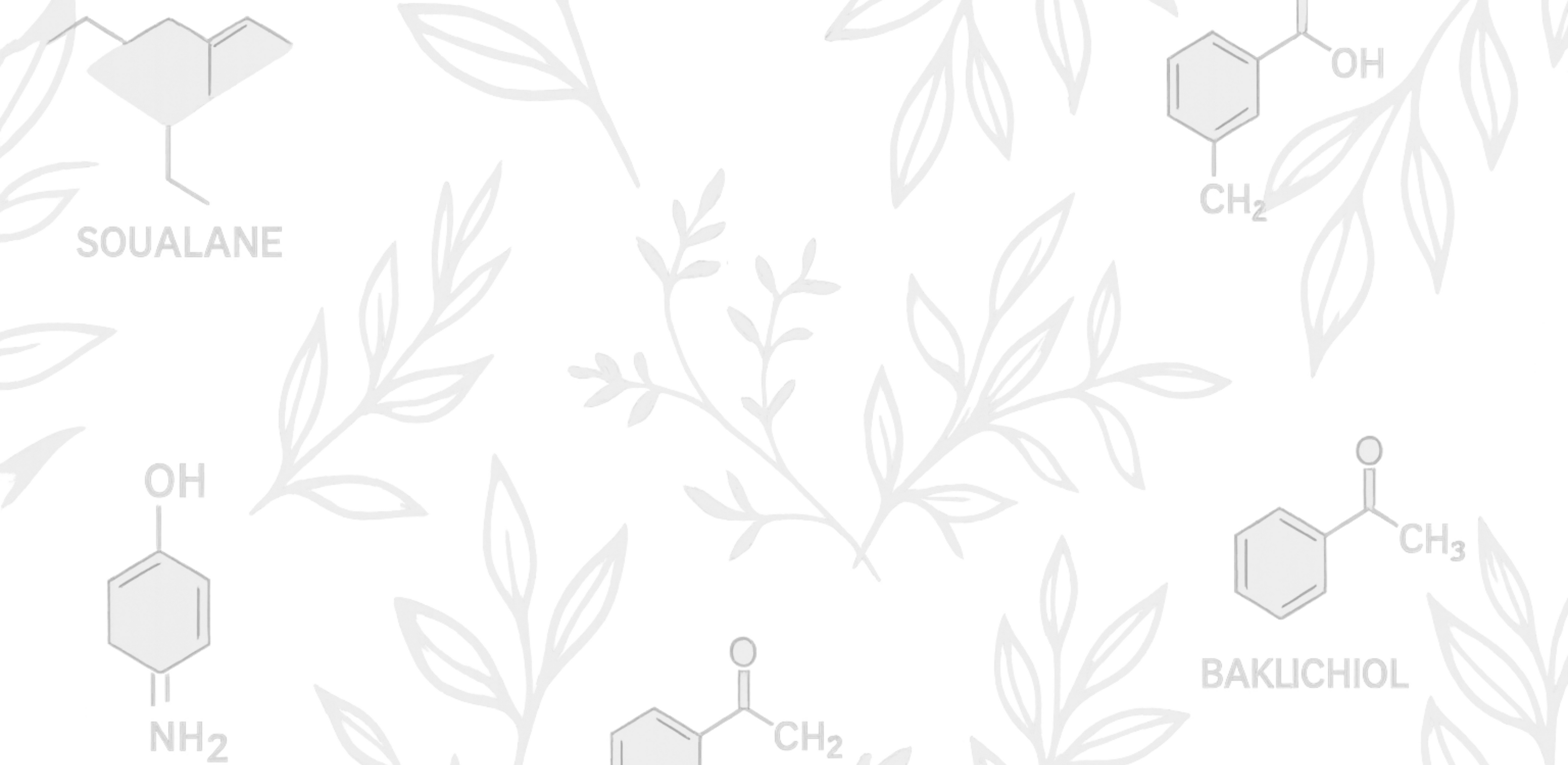 ingredients.alphax-b2h-complex-formula.png